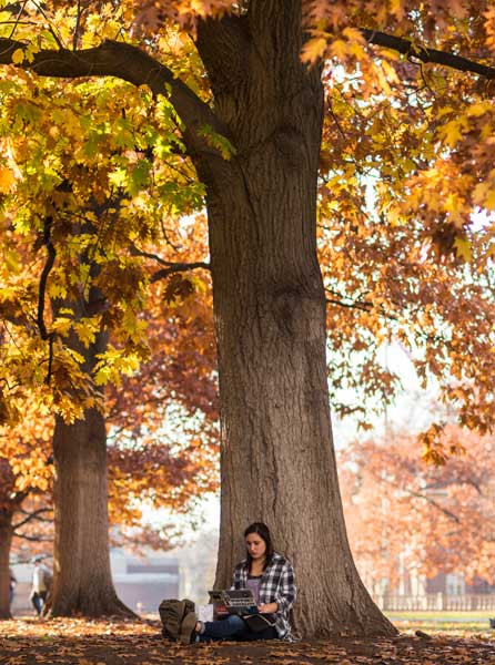 A University of Rochester student sits under a tree on the quad, surrounded by colorful fall leaves.