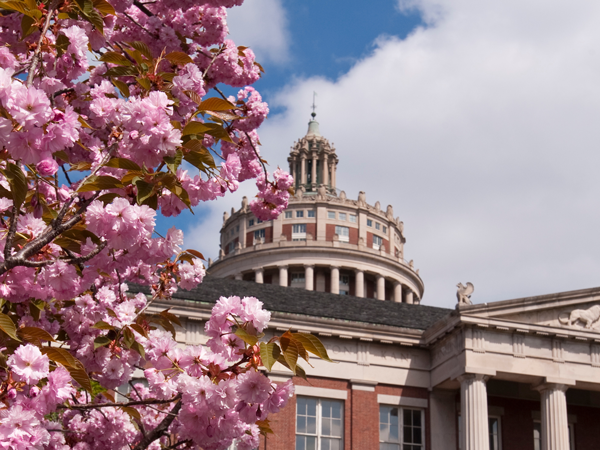 University of Rochester library featuring a prominent dome with a tree in front, showcasing its architectural beauty.